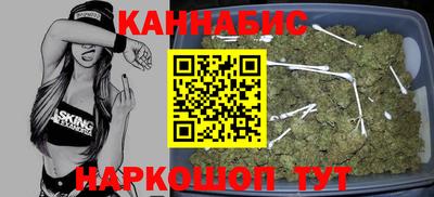 индика Будённовск