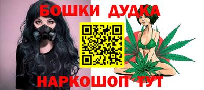 индика Будённовск
