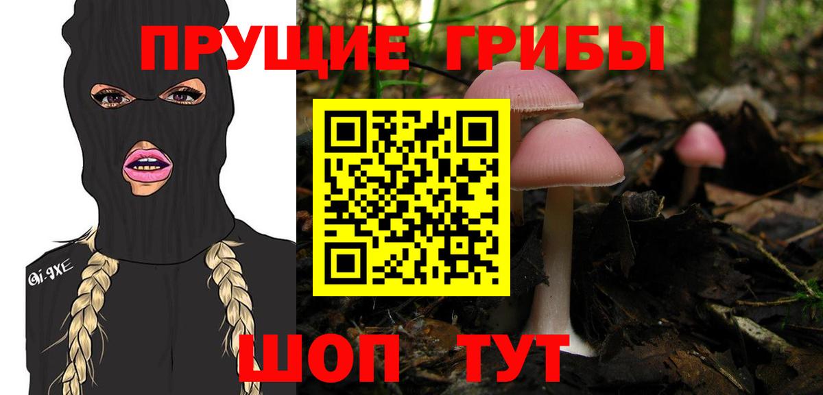 Новый Уренгой  Псилоцибиновые грибы Psilocybe  Вход с VPN 