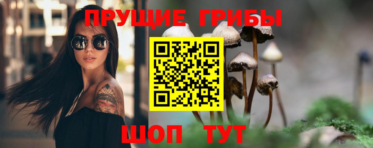 Псилоцибиновые грибы Cubensis Новый Уренгой